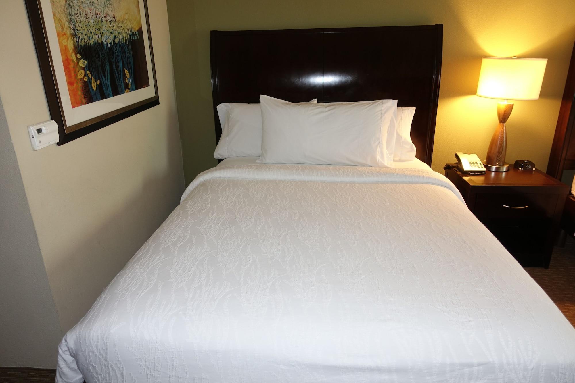 Hilton Garden Houston-pearland 3* Pearland